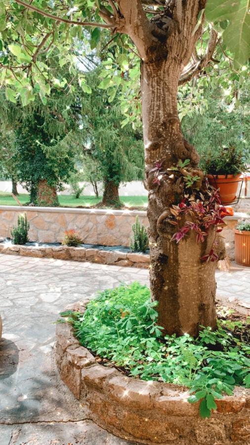 Residence Il Giardino Sul Fiume Nera Cerreto di Spoleto Exterior foto